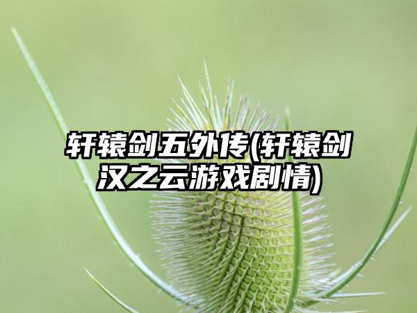 轩辕剑五外传(轩辕剑汉之云游戏剧情)