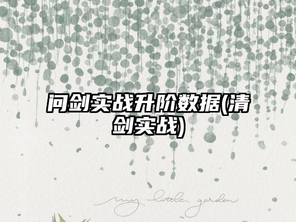 问剑实战升阶数据(清剑实战)