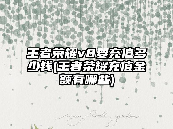 王者荣耀v8要充值多少钱(王者荣耀充值金额有哪些)