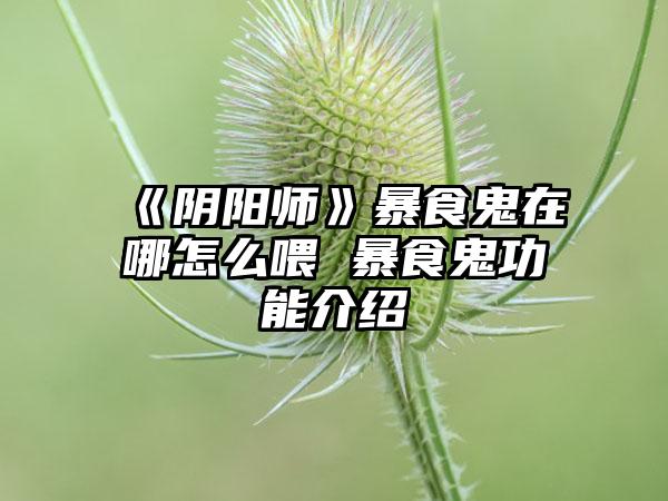 《阴阳师》暴食鬼在哪怎么喂 暴食鬼功能介绍