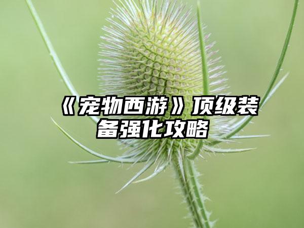 《宠物西游》顶级装备强化攻略