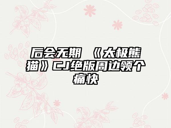 后会无期 《太极熊猫》CJ绝版周边领个痛快