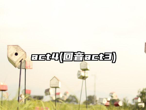 act4(回音act3)