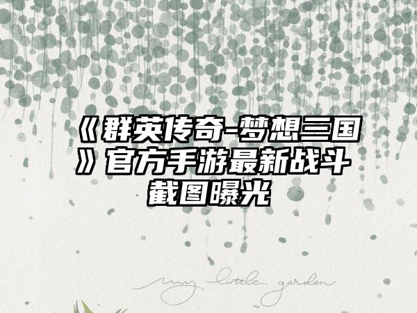 《群英传奇-梦想三国》官方手游最新战斗截图曝光