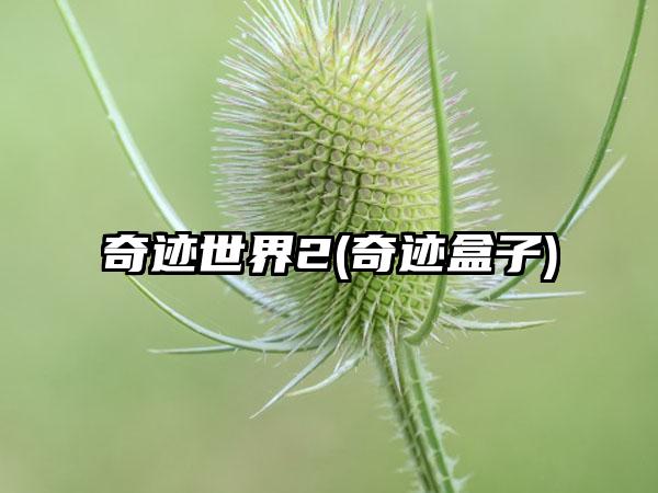 奇迹世界2(奇迹盒子)