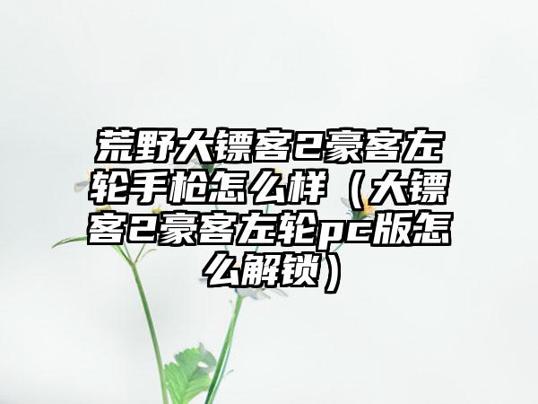 荒野大镖客2豪客左轮手枪怎么样（大镖客2豪客左轮pc版怎么解锁）