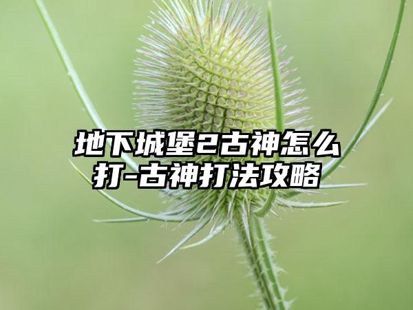 地下城堡2古神怎么打-古神打法攻略