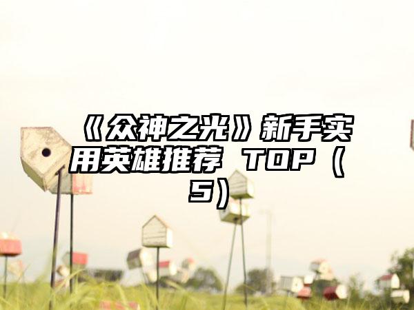 《众神之光》新手实用英雄推荐 TOP（5）
