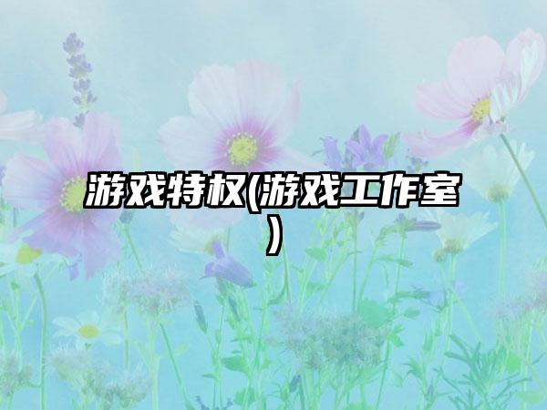 游戏特权(游戏工作室)