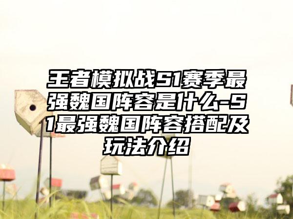 王者模拟战S1赛季最强魏国阵容是什么-S1最强魏国阵容搭配及玩法介绍