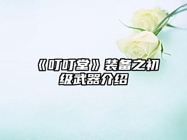 《叮叮堂》装备之初级武器介绍