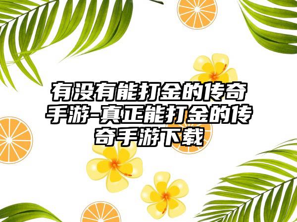 有没有能打金的传奇手游-真正能打金的传奇手游下载