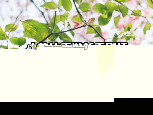 430工程(726工程)