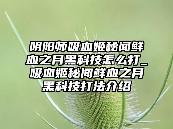 阴阳师吸血姬秘闻鲜血之月黑科技怎么打_吸血姬秘闻鲜血之月黑科技打法介绍