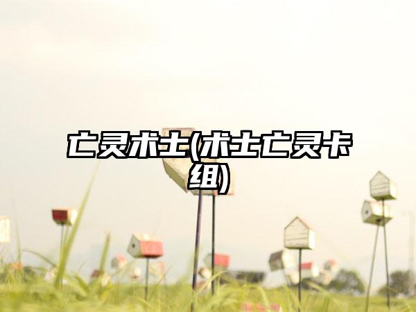 亡灵术士(术士亡灵卡组)