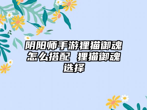 阴阳师手游狸猫御魂怎么搭配 狸猫御魂选择