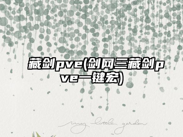 藏剑pve(剑网三藏剑pve一键宏)
