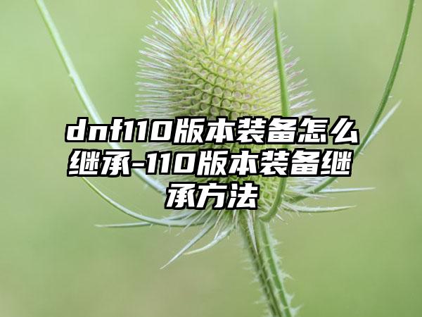 dnf110版本装备怎么继承-110版本装备继承方法