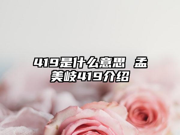 419是什么意思 孟美岐419介绍