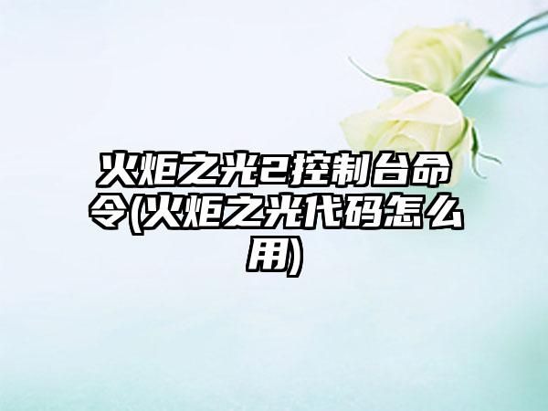 火炬之光2控制台命令(火炬之光代码怎么用)