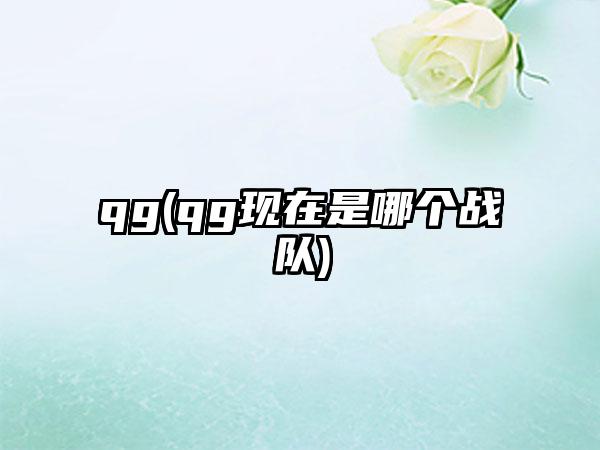 qg(qg现在是哪个战队)