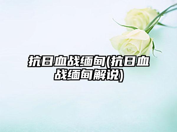 抗日血战缅甸(抗日血战缅甸解说)