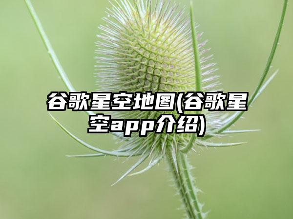 谷歌星空地图(谷歌星空app介绍)
