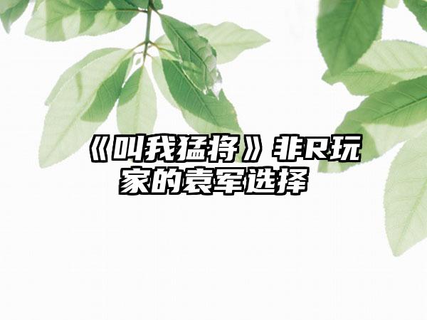 《叫我猛将》非R玩家的袁军选择