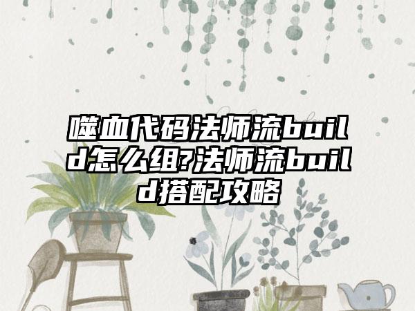 噬血代码法师流build怎么组?法师流build搭配攻略