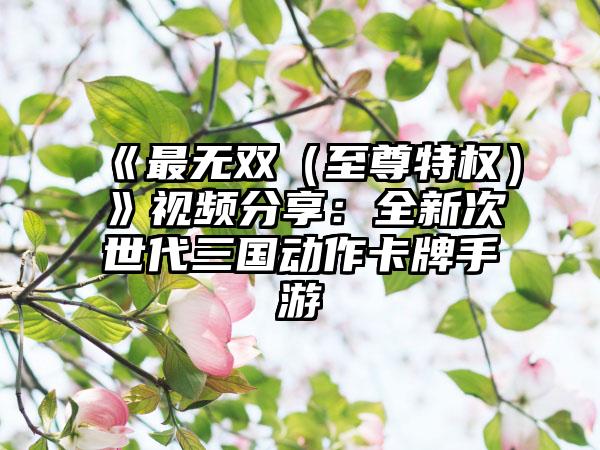 《最无双（至尊特权）》视频分享：全新次世代三国动作卡牌手游