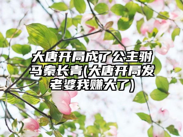 大唐开局成了公主驸马秦长青(大唐开局发老婆我赚大了)