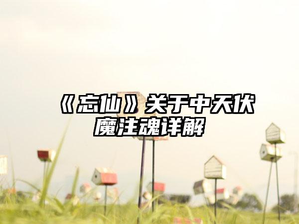 《忘仙》关于中天伏魔注魂详解