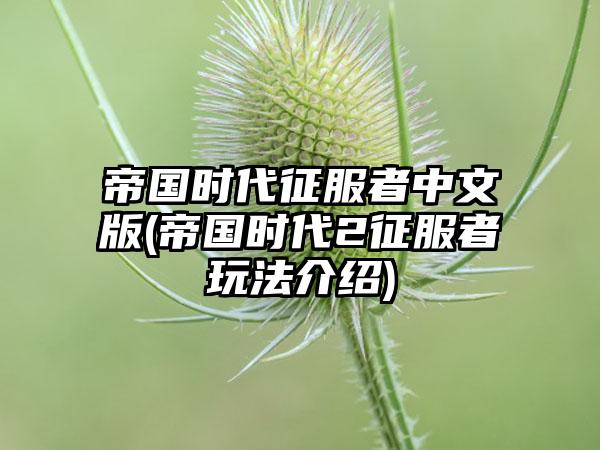 帝国时代征服者中文版(帝国时代2征服者玩法介绍)