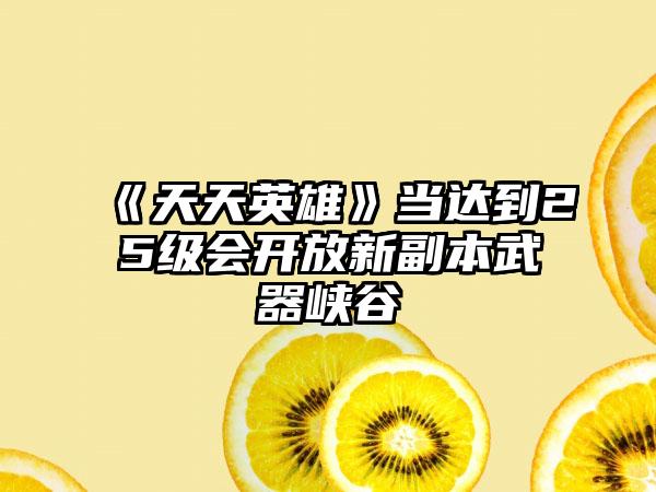 《天天英雄》当达到25级会开放新副本武器峡谷