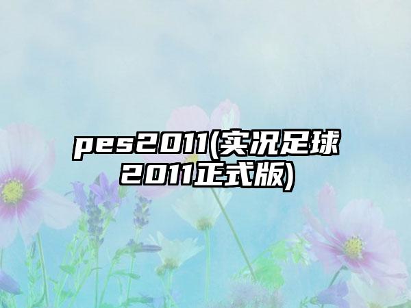 pes2011(实况足球2011正式版)