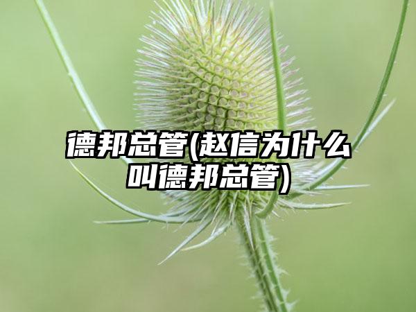 德邦总管(赵信为什么叫德邦总管)