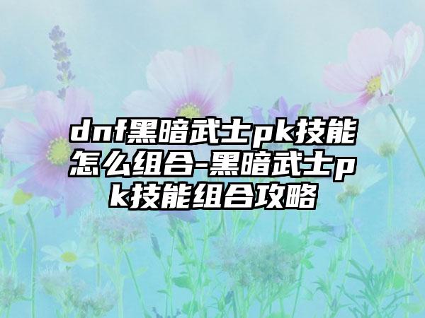 dnf黑暗武士pk技能怎么组合-黑暗武士pk技能组合攻略