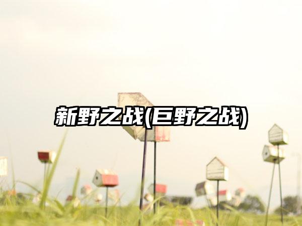 新野之战(巨野之战)