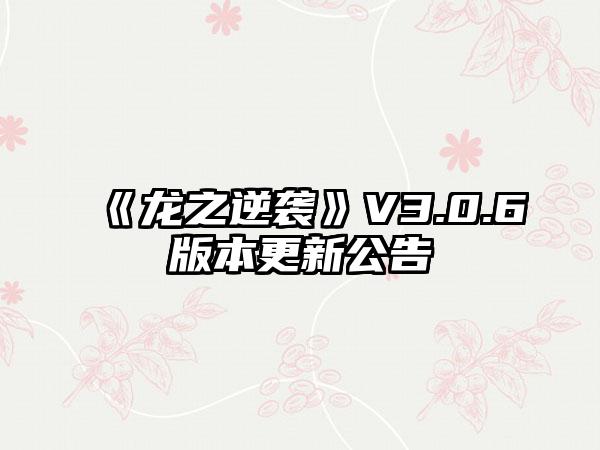 《龙之逆袭》V3.0.6版本更新公告