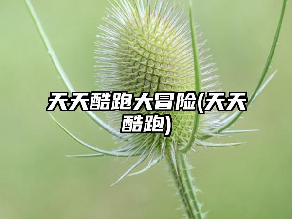 天天酷跑大冒险(天天酷跑)