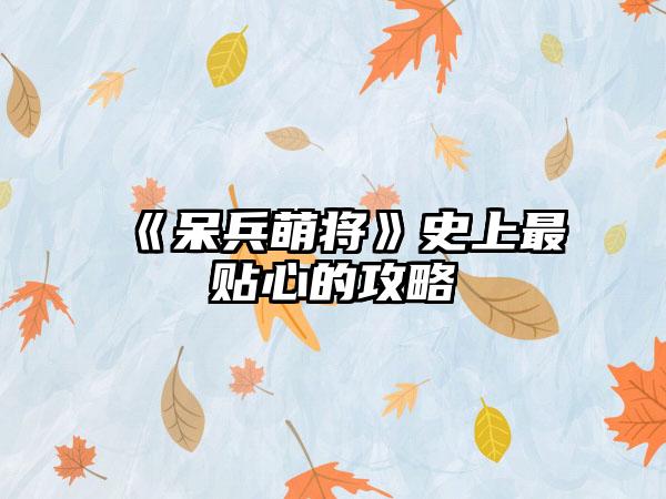 《呆兵萌将》史上最贴心的攻略