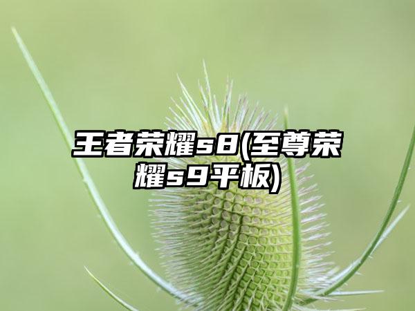 王者荣耀s8(至尊荣耀s9平板)