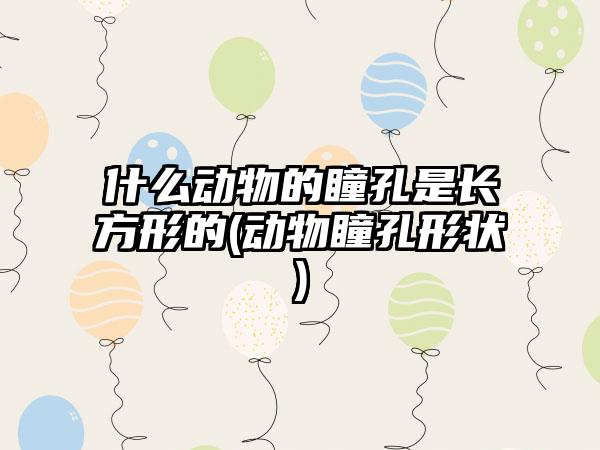 什么动物的瞳孔是长方形的(动物瞳孔形状)