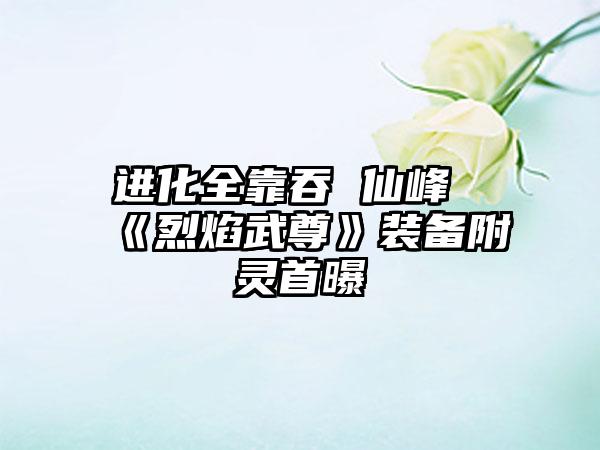 进化全靠吞 仙峰《烈焰武尊》装备附灵首曝