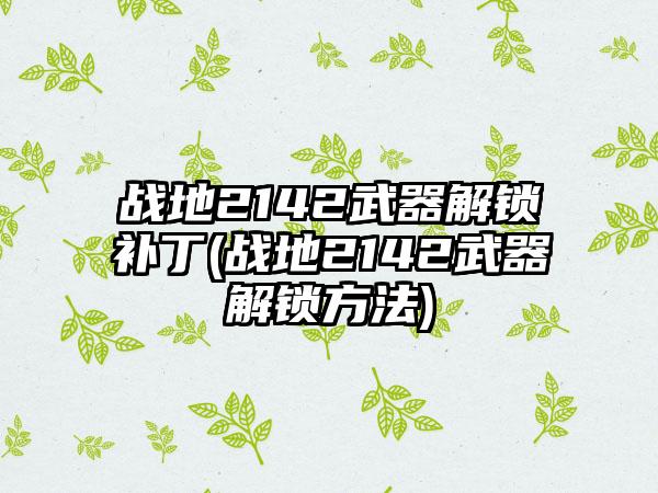 战地2142武器解锁补丁(战地2142武器解锁方法)