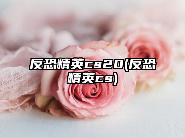 反恐精英cs20(反恐精英cs)