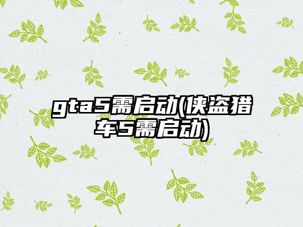gta5需启动(侠盗猎车5需启动)