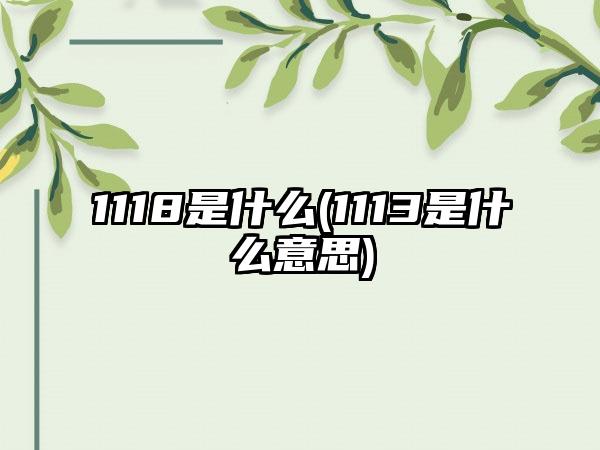 1118是什么(1113是什么意思)