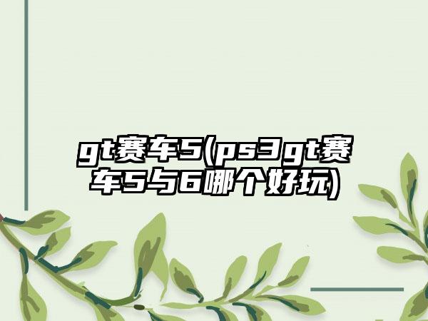 gt赛车5(ps3gt赛车5与6哪个好玩)