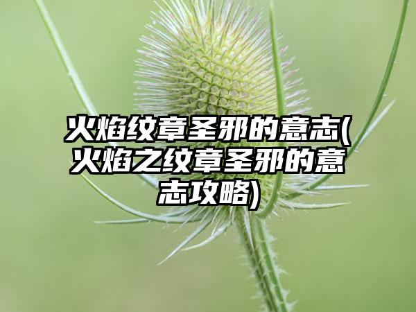 火焰纹章圣邪的意志(火焰之纹章圣邪的意志攻略)